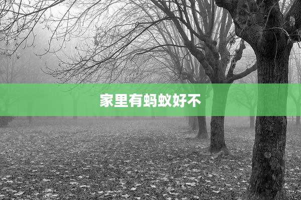 家里有蚂蚁好不
