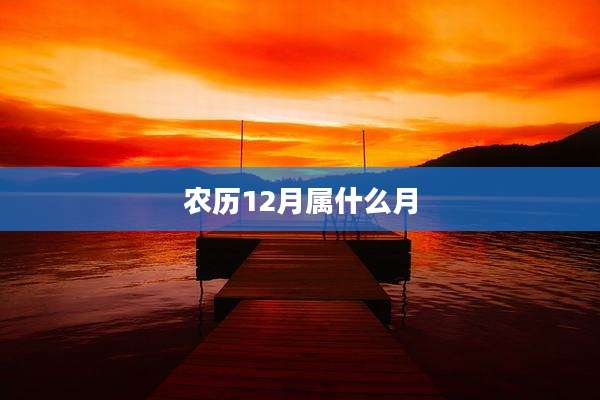 农历12月属什么月