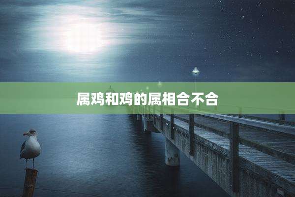 属鸡和鸡的属相合不合