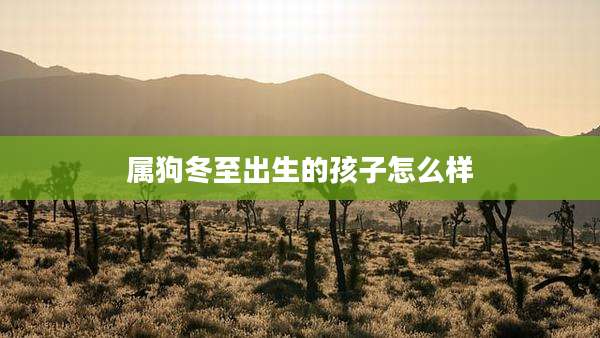 属狗冬至出生的孩子怎么样