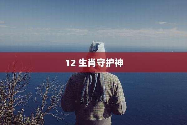 12 生肖守护神