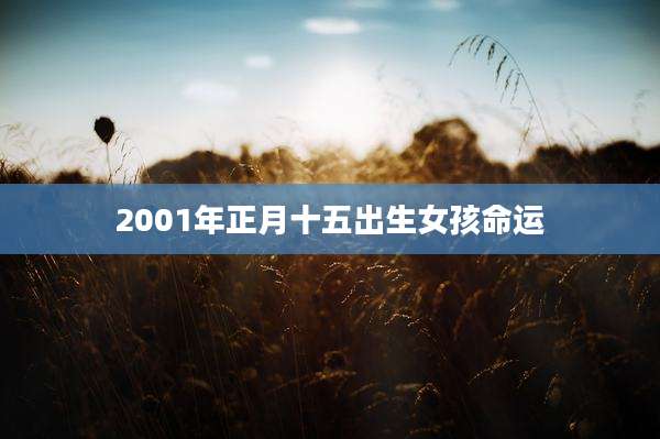 2001年正月十五出生女孩命运