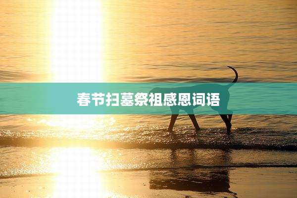 春节扫墓祭祖感恩词语