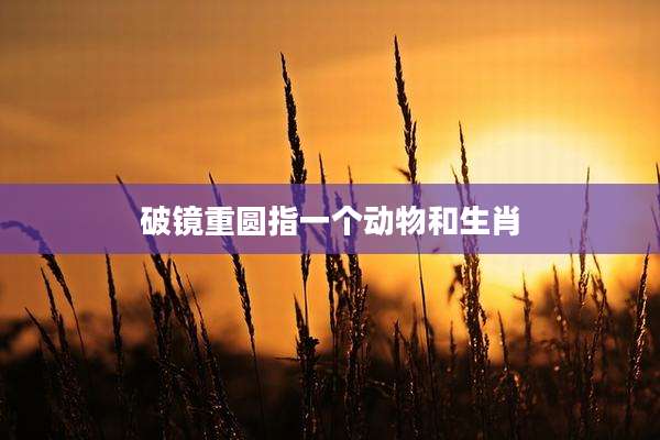 破镜重圆指一个动物和生肖