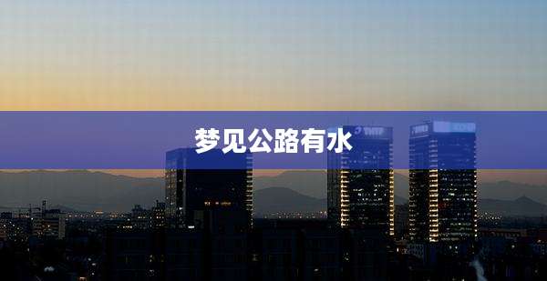 梦见公路有水