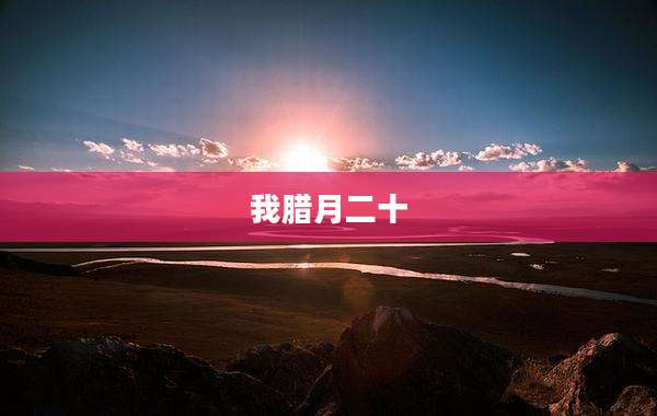 我腊月二十