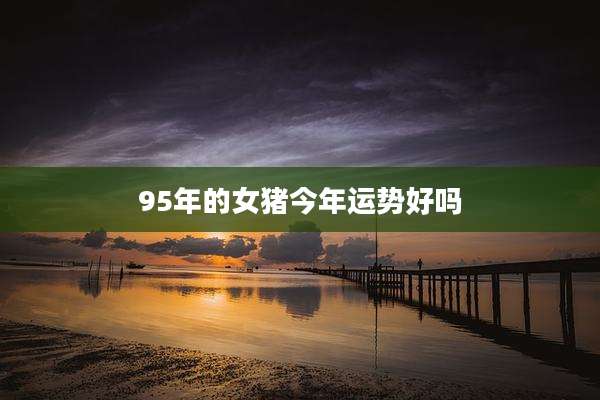 95年的女猪今年运势好吗