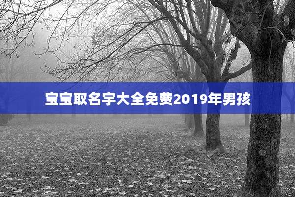 宝宝取名字大全免费2019年男孩