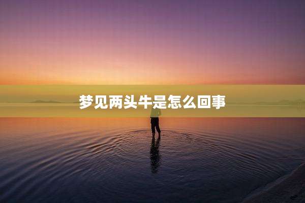 梦见两头牛是怎么回事