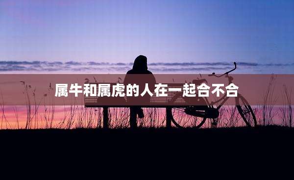 属牛和属虎的人在一起合不合