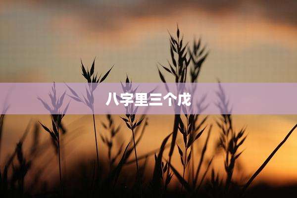 八字里三个戊