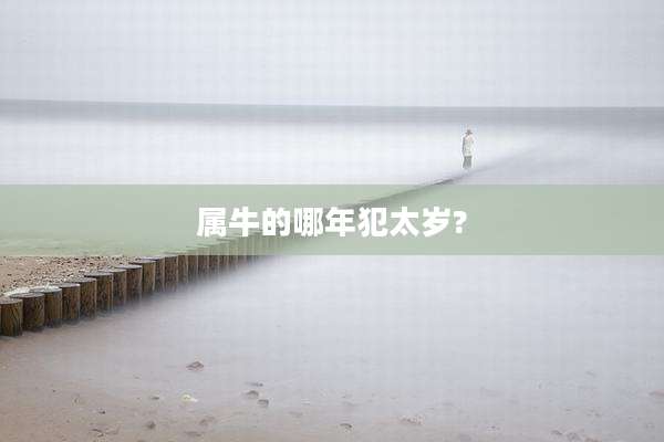 属牛的哪年犯太岁?