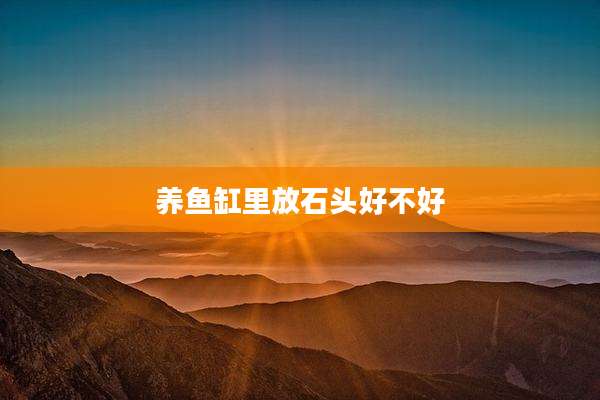 养鱼缸里放石头好不好