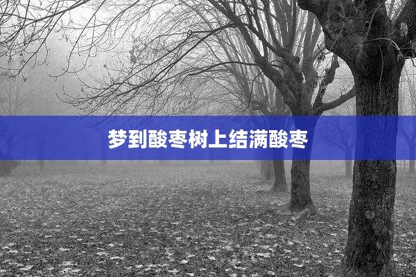梦到酸枣树上结满酸枣