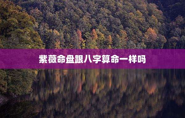 紫薇命盘跟八字算命一样吗