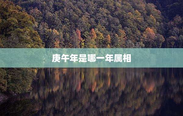 庚午年是哪一年属相