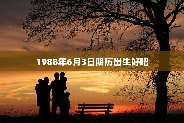 1988年6月3日阴历出生好吧