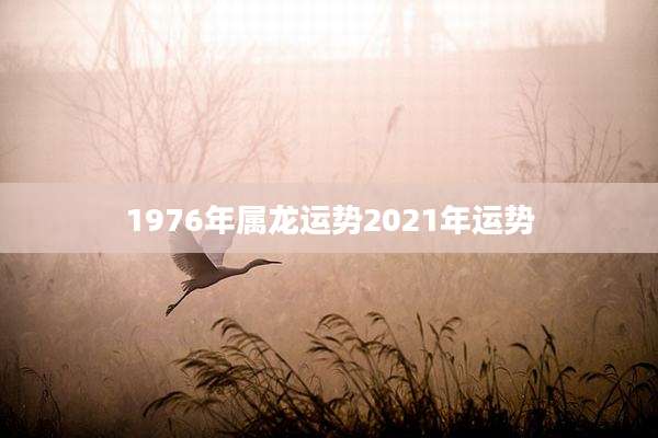1976年属龙运势2021年运势