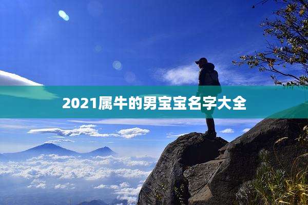 2021属牛的男宝宝名字大全