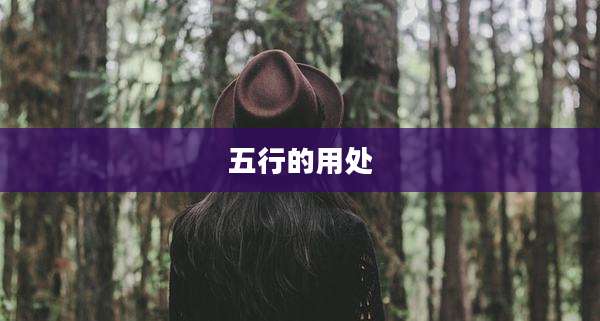 五行的用处