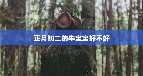 正月初二的牛宝宝好不好
