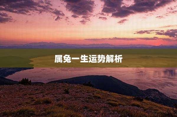 属兔一生运势解析