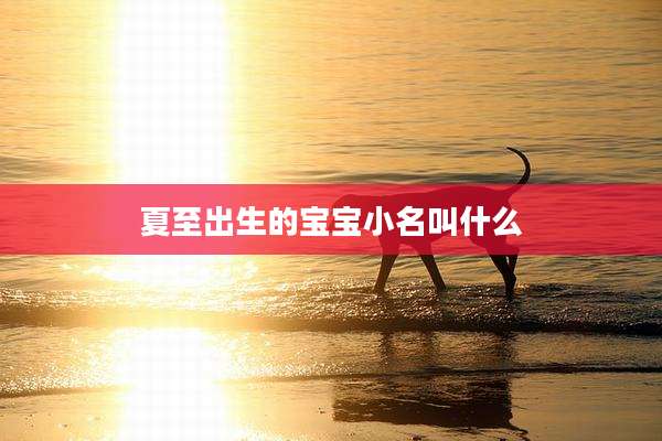 夏至出生的宝宝小名叫什么