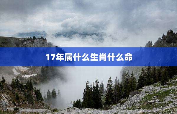 17年属什么生肖什么命