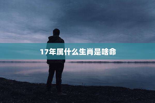 17年属什么生肖是啥命