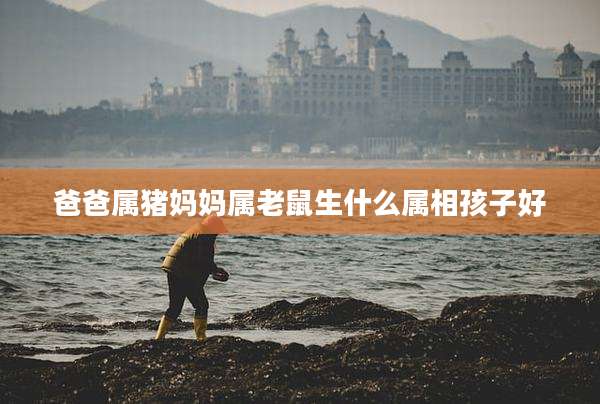 爸爸属猪妈妈属老鼠生什么属相孩子好