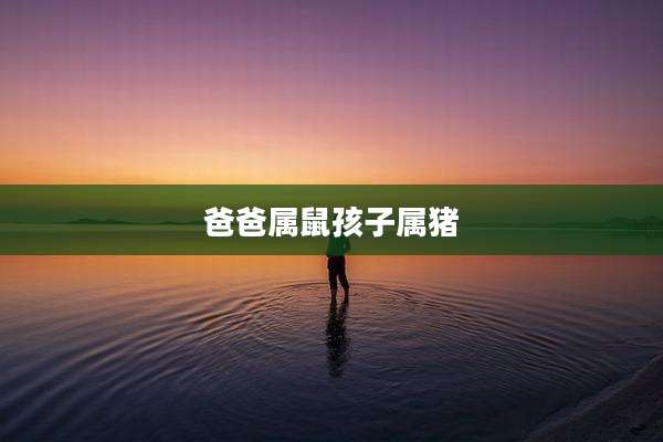 爸爸属鼠孩子属猪