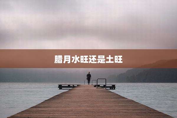 腊月水旺还是土旺