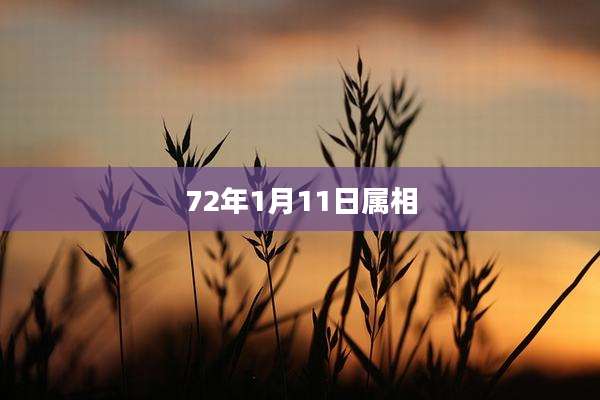 72年1月11日属相