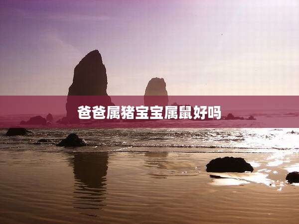 爸爸属猪宝宝属鼠好吗