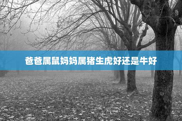 爸爸属鼠妈妈属猪生虎好还是牛好