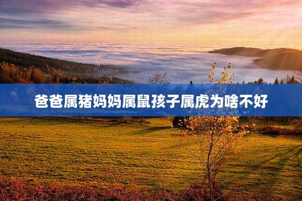 爸爸属猪妈妈属鼠孩子属虎为啥不好
