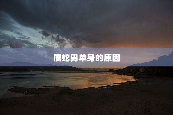 属蛇男单身的原因