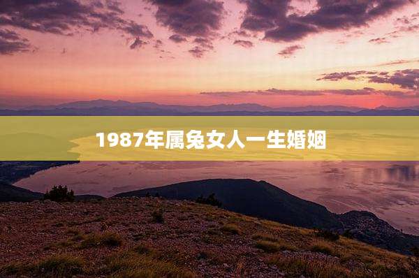1987年属兔女人一生婚姻