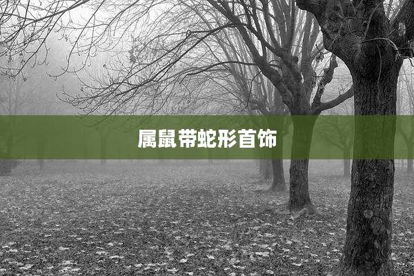属鼠带蛇形首饰