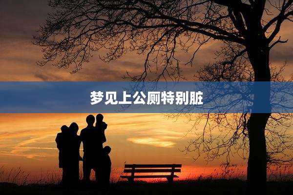 梦见上公厕特别脏