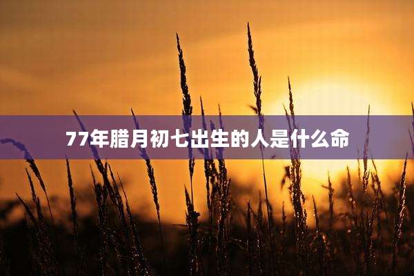 77年腊月初七出生的人是什么命