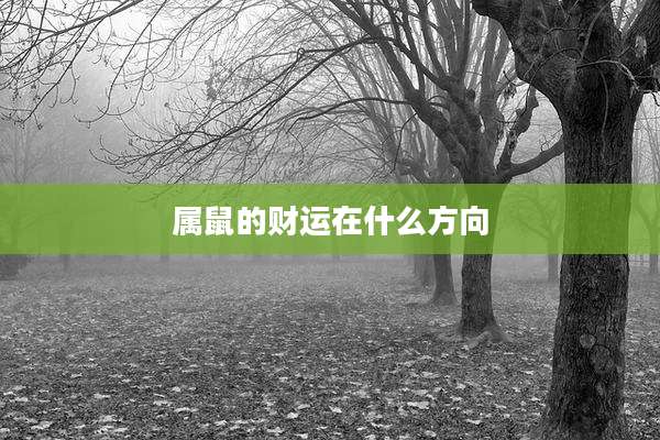 属鼠的财运在什么方向