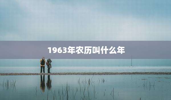 1963年农历叫什么年