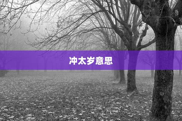 冲太岁意思