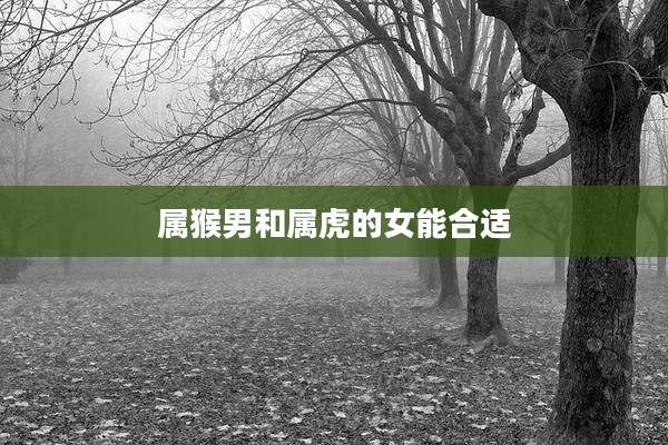 属猴男和属虎的女能合适