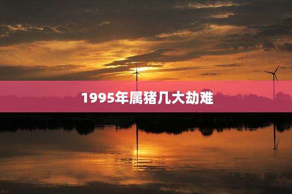 1995年属猪几大劫难