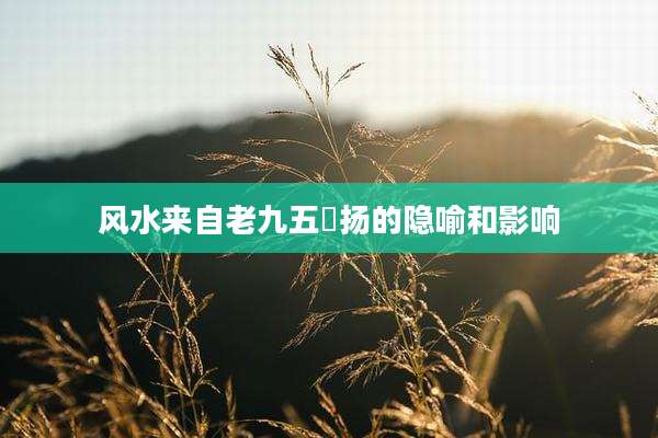 风水来自老九五抪扬的隐喻和影响