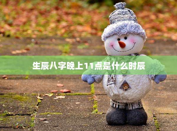 生辰八字晚上11点是什么时辰