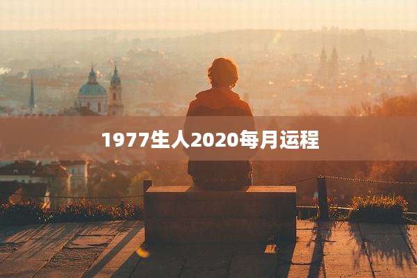 1977生人2020每月运程