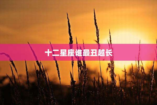 十二星座谁最丑越长